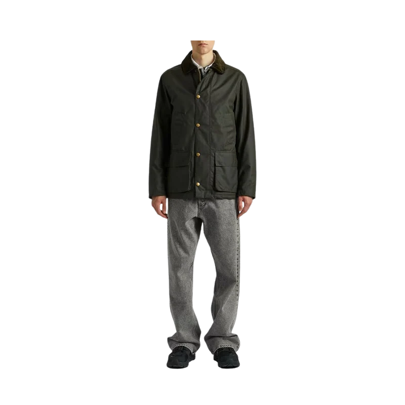 Curtis - Olive