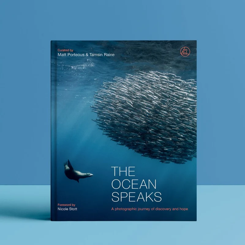 The Ocean Speaks