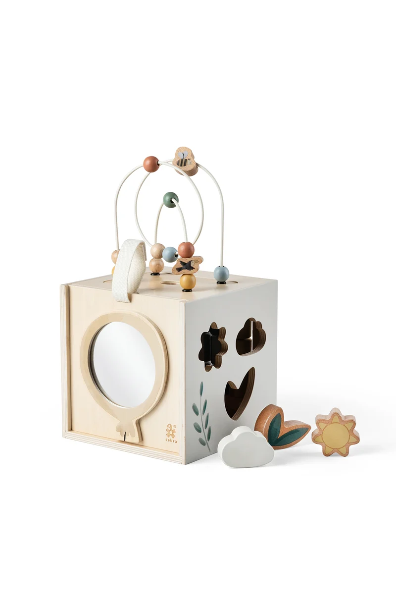 Motor Skills Play Box Wooden