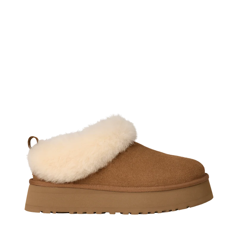 W Tazzelle - CHE Chestnut
