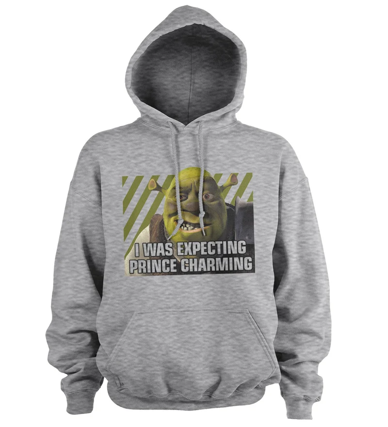 I Was Expecting Prince Charming Hoodie