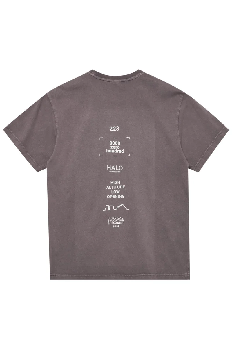 Halo - Graphic T-Shirt 230416 - 2412 - Sparrow