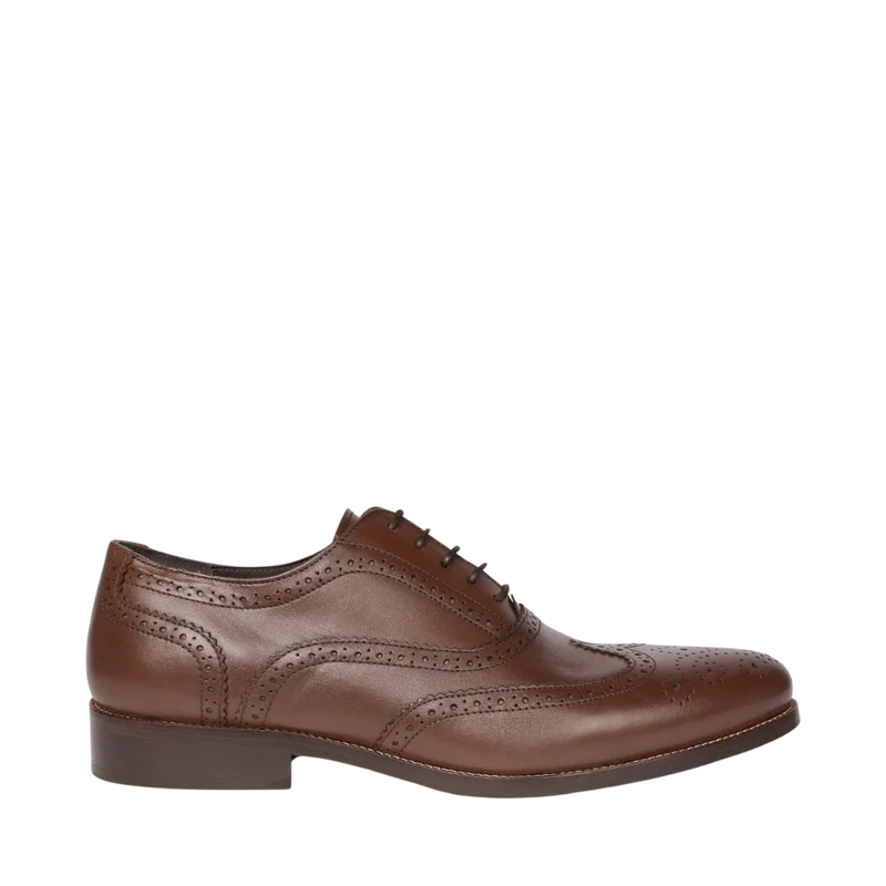 Gustav PR - Brown Monochrome