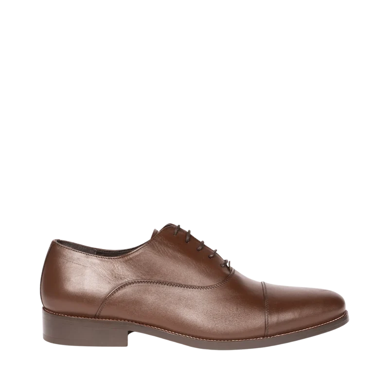 Bruno PR - Brown Monochrome