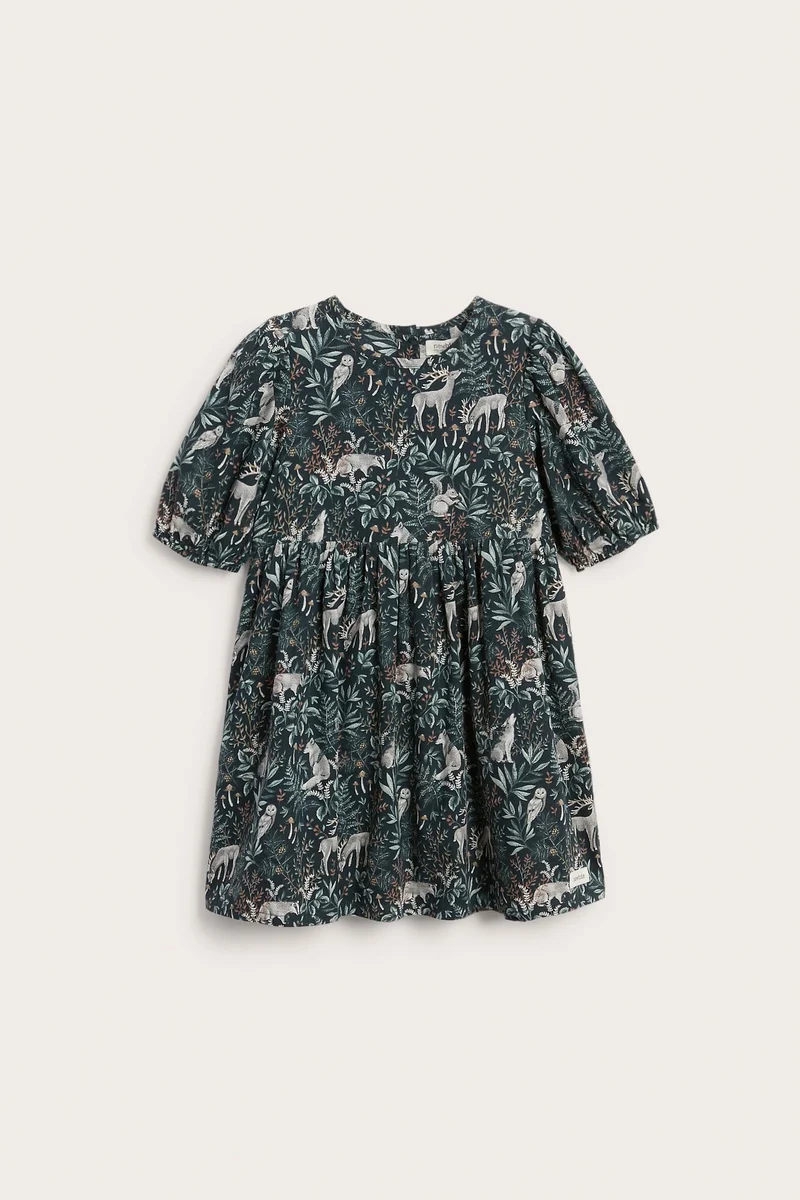 Kids dress with puff sleeves