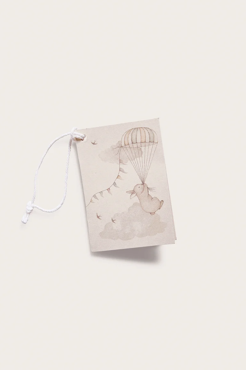 Gift card rabbit & hot air balloon
