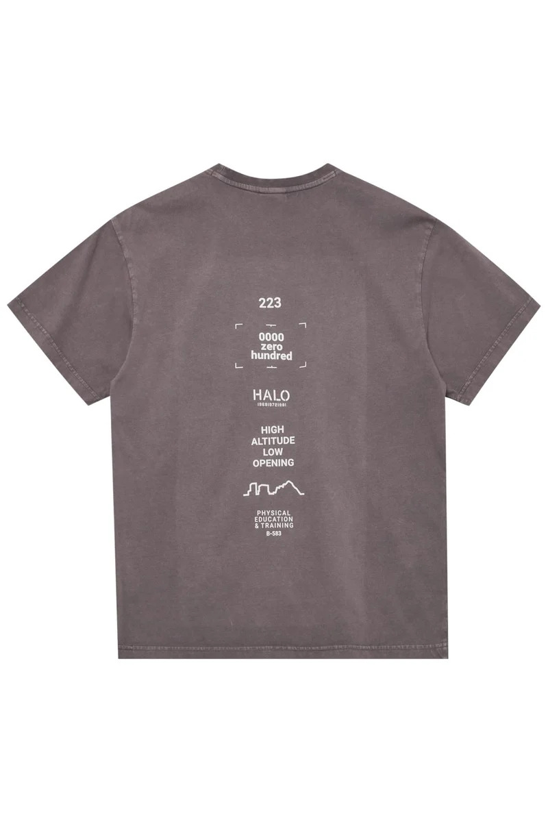 Halo - Graphic T-Shirt 230416 - 2412 - Sparrow