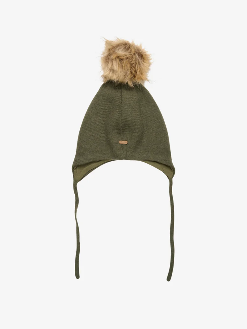 Vintermössa med tofs